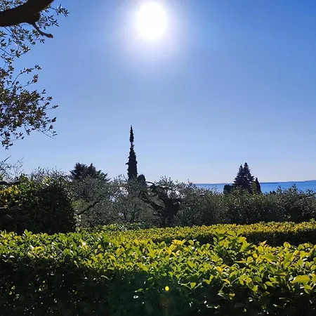 Margherita - Parco Degli Ulivi