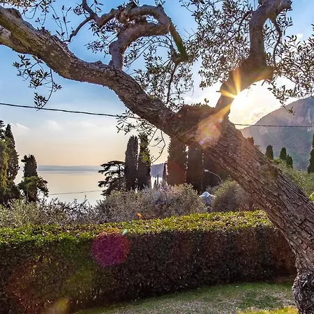 Margherita - Parco Degli Ulivi