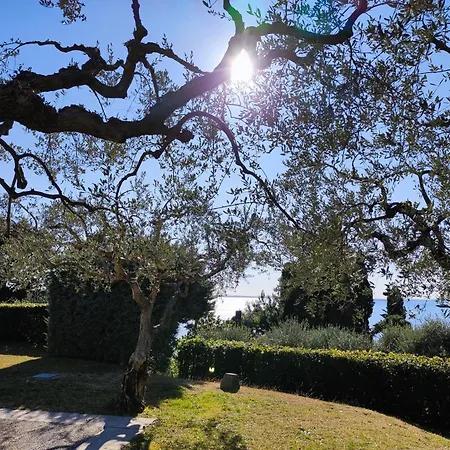Margherita - Parco Degli Ulivi