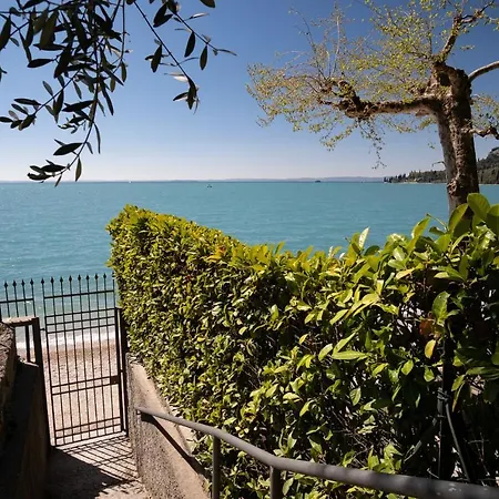 Margherita - Parco Degli Ulivi *